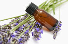 Where should I buy my essential oils?