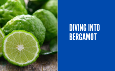 Diving into Bergamot